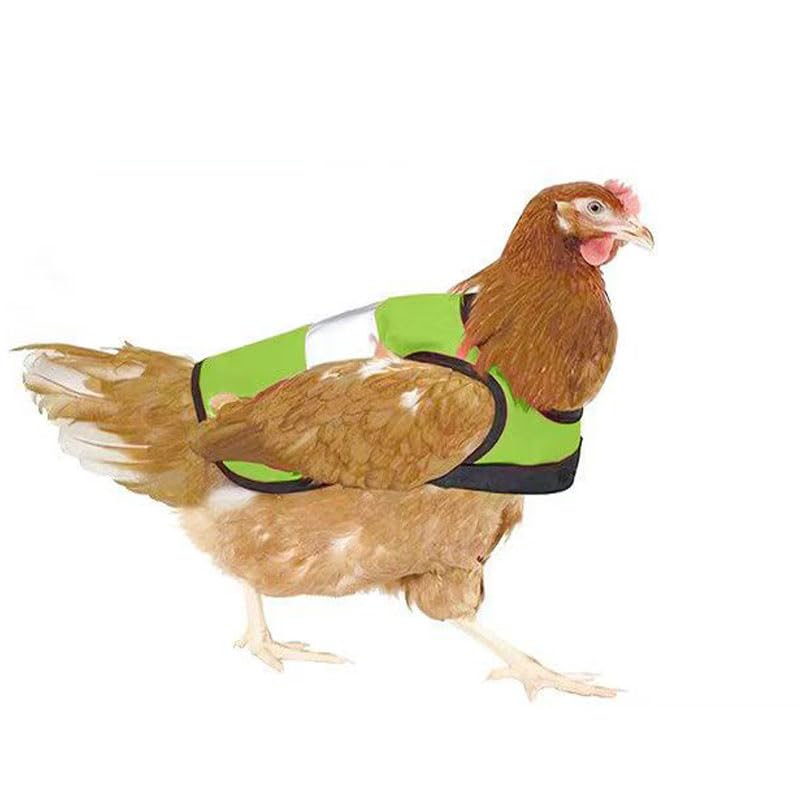 にわとり Amazon.co.jp: 鶏用チキンサドル、調節可能なストラップ付き鶏用チキン